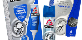 Rättsmedel för kackerlackor Raptor: aerosol, fälla eller gel. Vilket är bättre?