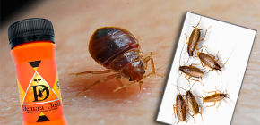 Åtgärd för bedbugs och kackerlackor Delta Zone: beskrivning och recensioner