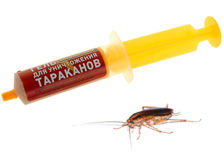 Remedier för kackerlackor i sprutan (geler): en genomgång av droger och nyanser av deras användning