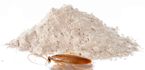 Pulver för utrotning av kackerlackor: En genomgång av effektiva medel